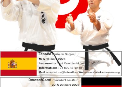 3 - Flyer Seminaires