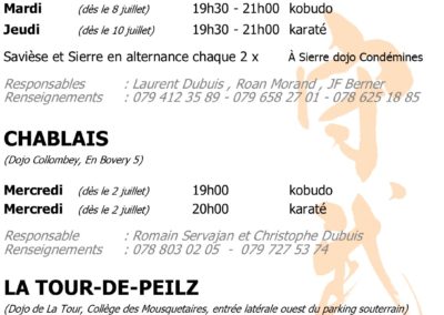 Cours d ete 2025 AOKKS