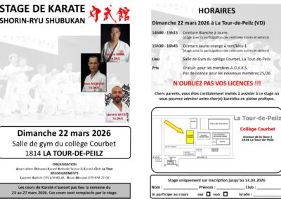 Karate - Stage enfants